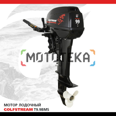 Лодочный мотор GOLFSTREAM (Гольфстрим) T9.9BMS