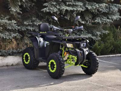 Квадроцикл R - MOTO (Р - Мото) Lion 200Х черный (машинокомплект)