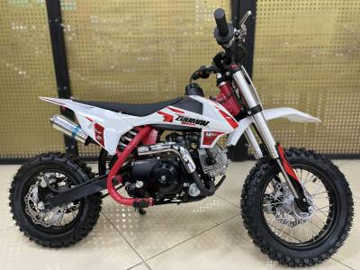 Питбайк Zuumav (Зуумав) FX K 1.0 90 красный